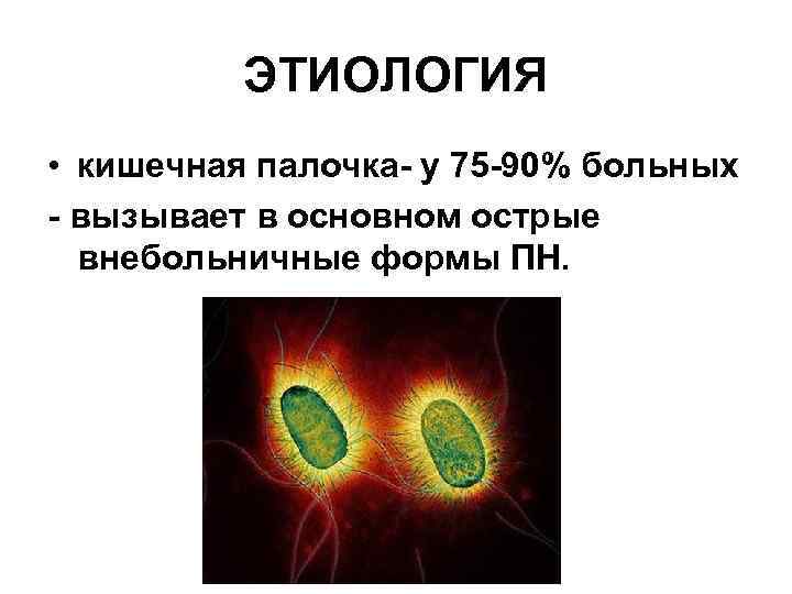 ЭТИОЛОГИЯ • кишечная палочка- у 75 -90% больных - вызывает в основном острые внебольничные