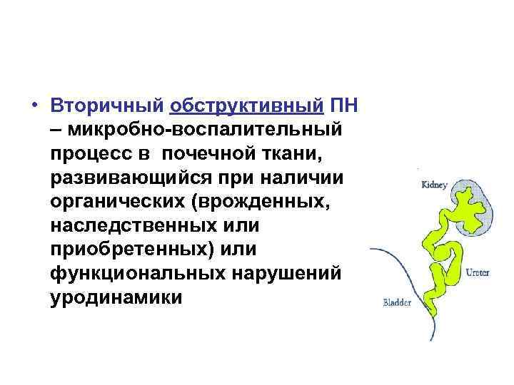  • Вторичный обструктивный ПН – микробно-воспалительный процесс в почечной ткани, развивающийся при наличии