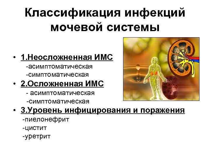 Классификация инфекций мочевой системы • 1. Неосложненная ИМС -асимптоматическая -симптоматическая • 2. Осложненная ИМС