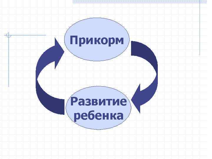Прикорм Развитие ребенка 