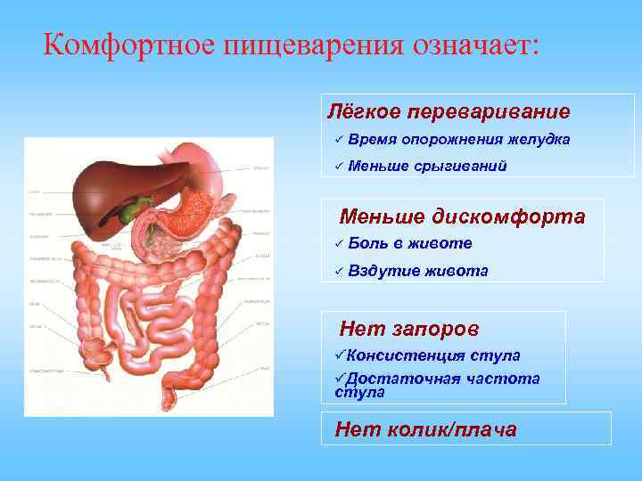 Анализы пищеварительной системы. Для улучшения пищеварения. Хорошее пищеварение. Что происходит при пищеварении. Упражнения для пищеварительной системы.