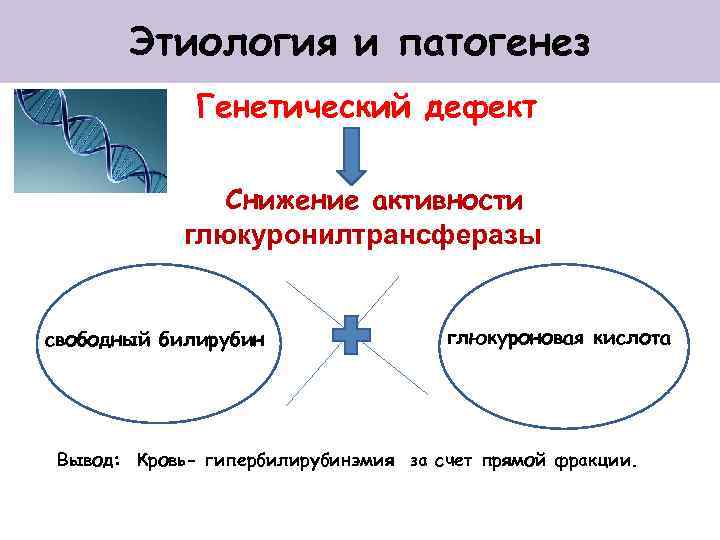 Этиология и патогенез Генетический дефект Снижение активности глюкуронилтрансферазы свободный билирубин глюкуроновая кислота Вывод: Кровь-