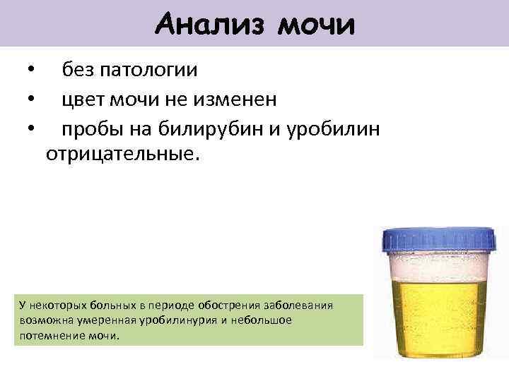 Анализ мочи • • • без патологии цвет мочи не изменен пробы на билирубин