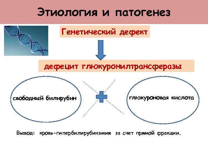 Этиология и патогенез Генетический дефект дефецит глюкуронилтрансферазы свободный билирубин глюкуроновая кислота Вывод: кровь-гипербилирубинэмия за