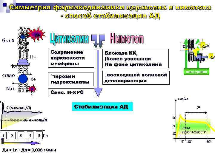 АК было Са 2+ Сохранение каркасности мембраны Блокада КК, (более успешная На фоне цитиколина