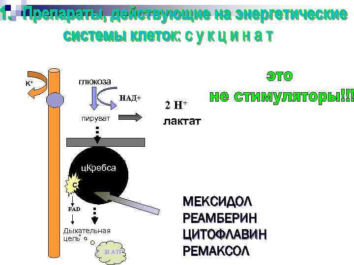 глюкоза K+ НАД+ пируват 2 H+ лактат ц. Кребса С FAD Дыхательная цепь ∑