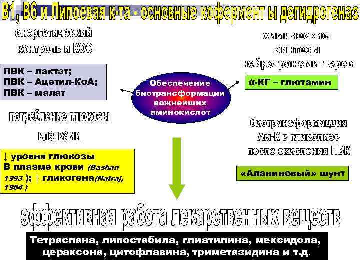 ПВК – лактат; ПВК – Ацетил-Ко. А; ПВК – малат ↓ уровня глюкозы В