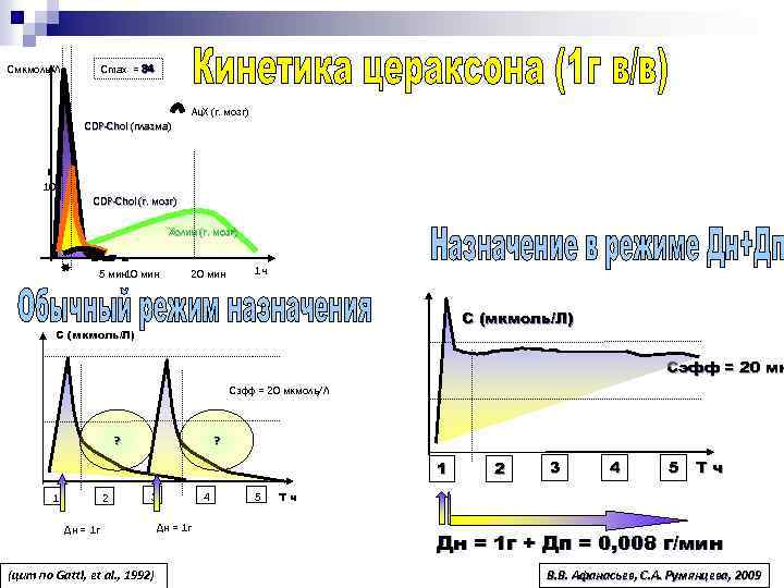Cmax = 34 Смкмоль/Л Ац. Х (г. мозг) CDP-Chol (плазма) CDP-Chol 10 CDP-Chol (г.