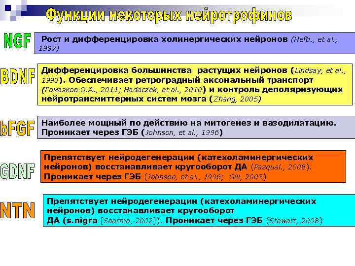 Рост и дифференцировка холинергических нейронов (Hefti. , et al. , 1997) Дифференцировка большинства растущих