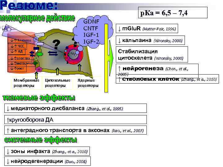 р. Ка = 6, 5 – 7, 4 ? ? ↓↑ Глюкоза ↓↑ ЧСС