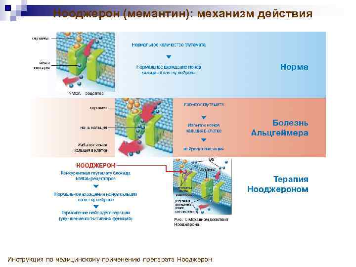 Нооджерон (мемантин): механизм действия Инструкция по медицинскому применению препарата Нооджерон 