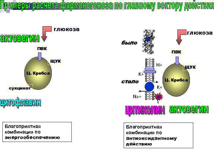 глюкоза было ПВК ЩУК H+ Ц. Кребса сукцинат стало K+ Na+ Благоприятная комбинация по