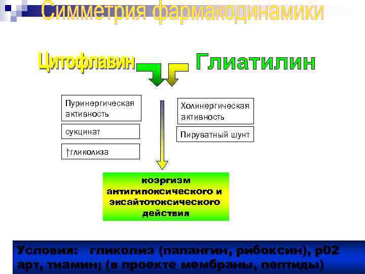 Пуринергическая активность Холинергическая активность сукцинат Пируватный шунт ↑гликолиза коэргизм антигипоксического и эксайтотоксического действия Условия: