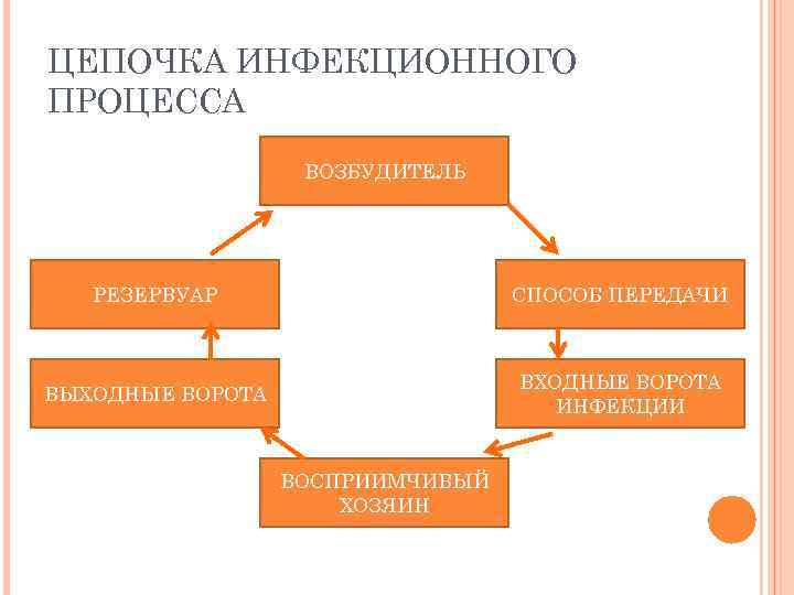 ЦЕПОЧКА ИНФЕКЦИОННОГО ПРОЦЕССА ВОЗБУДИТЕЛЬ РЕЗЕРВУАР СПОСОБ ПЕРЕДАЧИ ВЫХОДНЫЕ ВОРОТА ВХОДНЫЕ ВОРОТА ИНФЕКЦИИ ВОСПРИИМЧИВЫЙ ХОЗЯИН