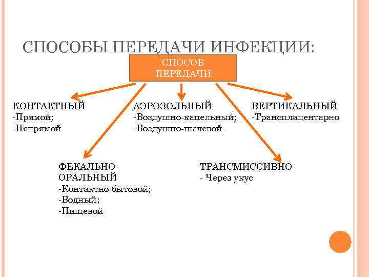 Факторы влияющие на восприимчивость хозяина к инфекции схема ворде