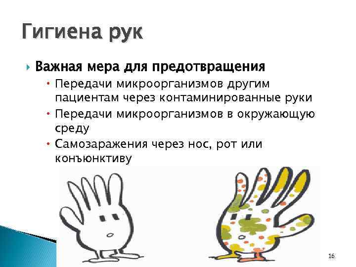 Гигиена рук Важная мера для предотвращения Передачи микроорганизмов другим пациентам через контаминированные руки Передачи