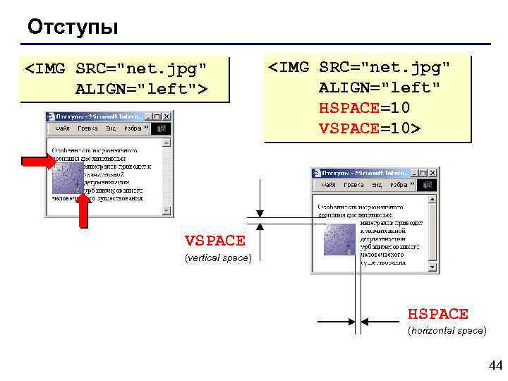 Отступы <IMG SRC="net. jpg" ALIGN="left"> <IMG SRC="net. jpg" ALIGN="left" HSPACE=10 VSPACE=10> VSPACE (vertical space)