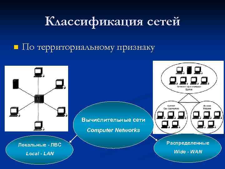 Классификация сетей n По территориальному признаку Вычислительные сети Computer Networks Локальные - ЛВС Распределенные