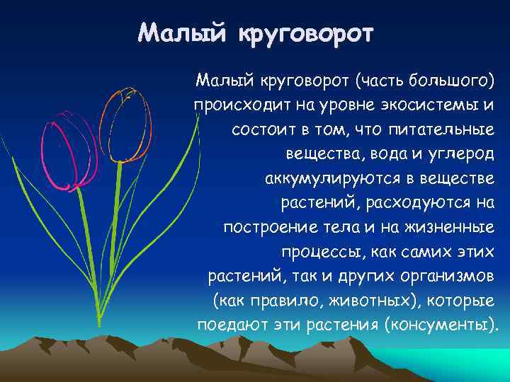 Малый круговорот (часть большого) происходит на уровне экосистемы и состоит в том, что питательные