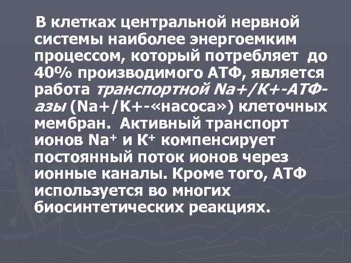 В клетках центральной нервной системы наиболее энергоемким процессом, который потребляет до 40% производимого АТФ,