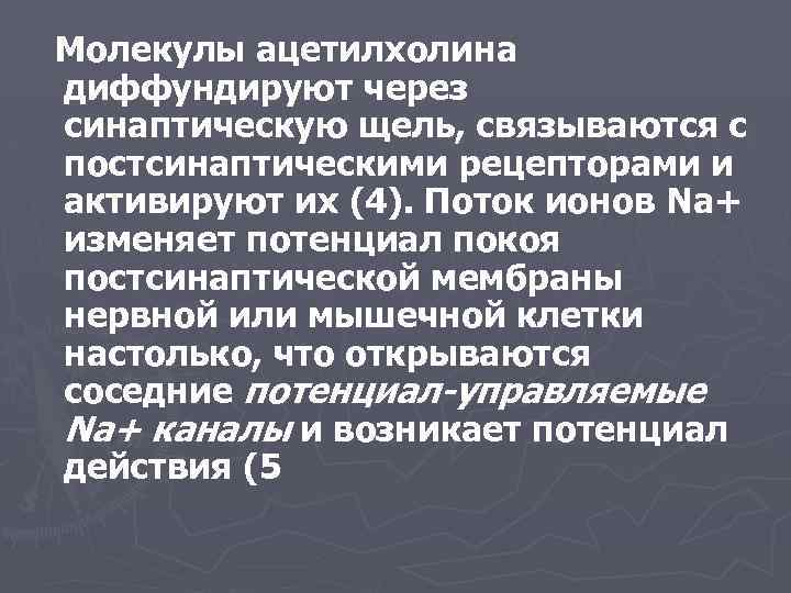 Молекулы ацетилхолина диффундируют через синаптическую щель, связываются с постсинаптическими рецепторами и активируют их (4).