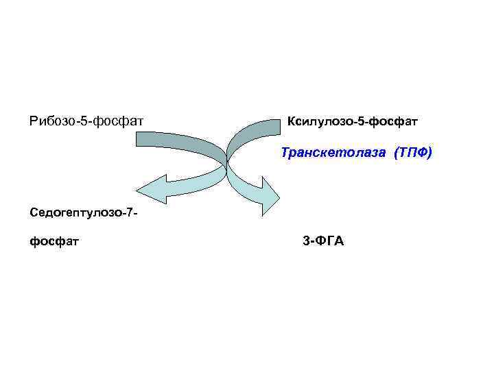 Рибозо-5 -фосфат Ксилулозо-5 -фосфат Транскетолаза (ТПФ) Седогептулозо-7 фосфат 3 -ФГА 