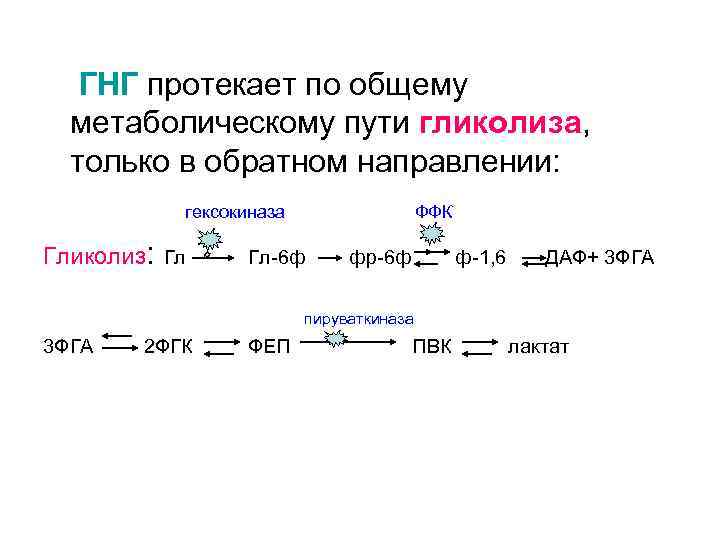 ГНГ протекает по общему метаболическому пути гликолиза, только в обратном направлении: гексокиназа Гликолиз: Гл