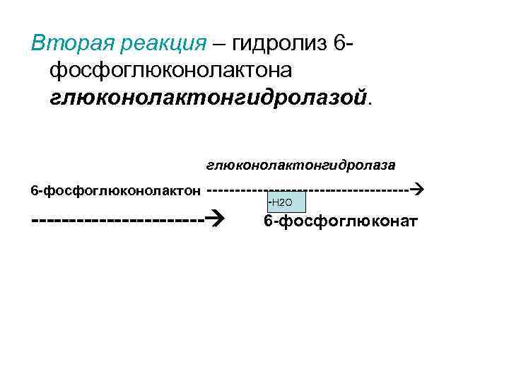 Вторая реакция – гидролиз 6 фосфоглюконолактона глюконолактонгидролазой. глюконолактонгидролаза 6 -фосфоглюконолактон ------------------ -Н 2 О