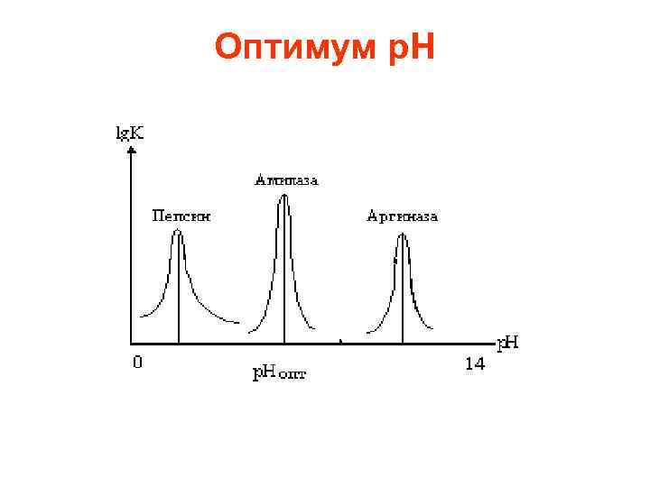 Оптимум р. Н 