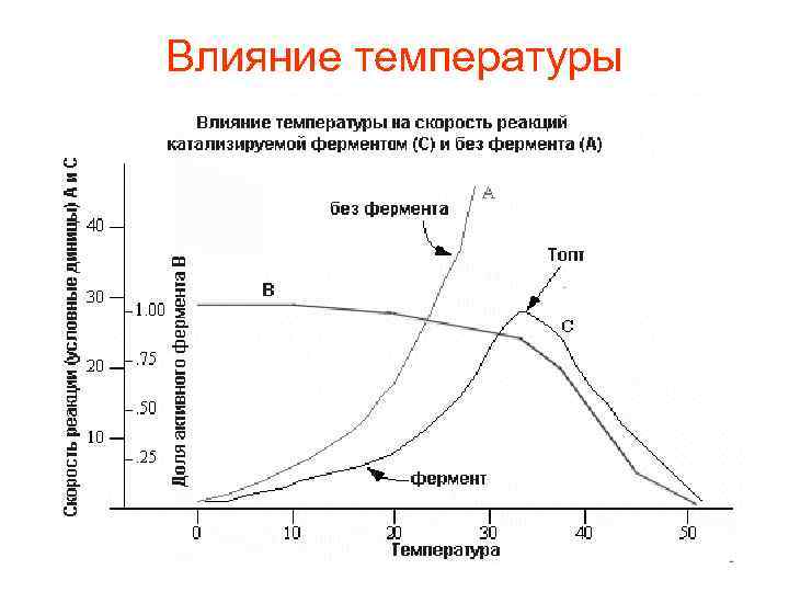 Влияние температуры 