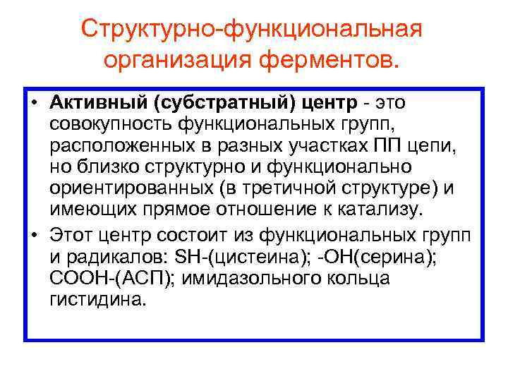 Структурно функциональная организация ферментов. • Активный (субстратный) центр это совокупность функциональных групп, расположенных в