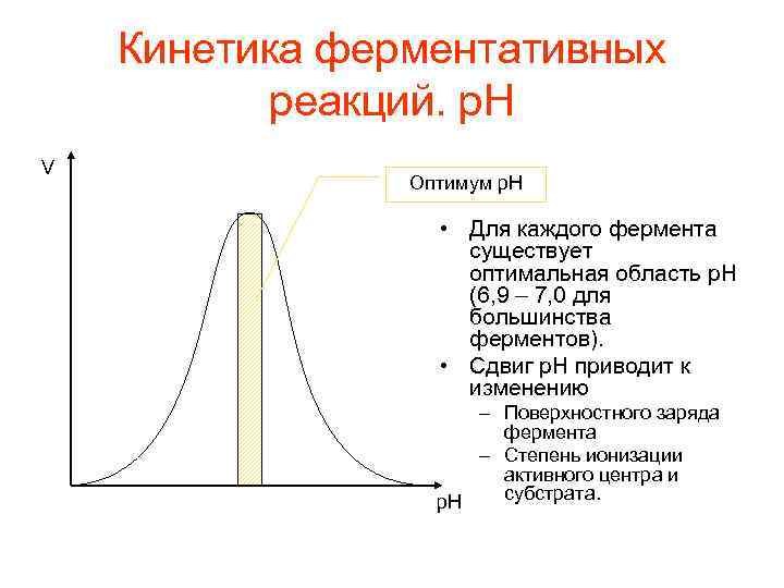 Кинетика ферментативных реакций. p. H V Оптимум p. H • Для каждого фермента существует