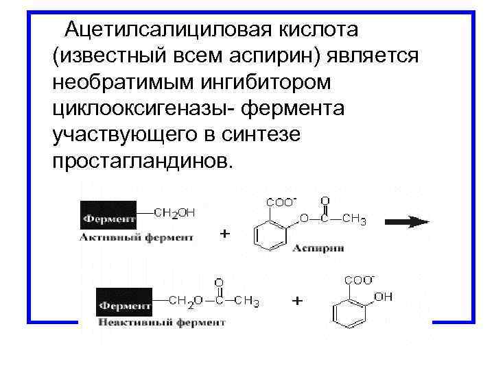  Ацетилсалициловая кислота (известный всем аспирин) является необратимым ингибитором циклооксигеназы- фермента участвующего в синтезе