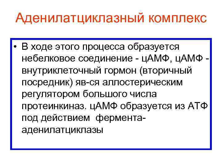 Аденилатциклазный комплекс • В ходе этого процесса образуется небелковое соединение - ц. АМФ, ц.