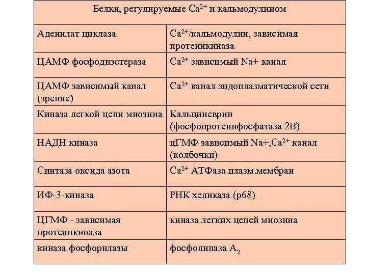 Белки, регулируемые Са 2+ и кальмодулином Аденилат циклаза Са 2+/кальмодулин, зависимая протеинкиназа ЦАМФ фосфодиэстераза