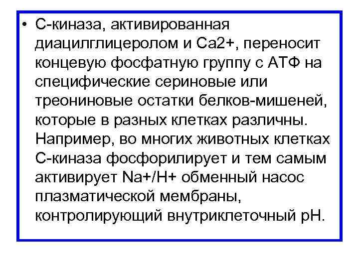  • С-киназа, активированная диацилглицеролом и Са 2+, переносит концевую фосфатную группу с АТФ