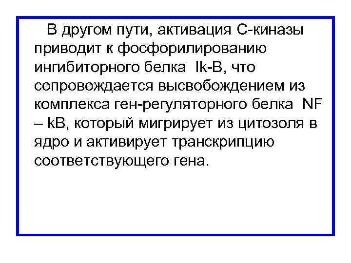  В другом пути, активация С-киназы приводит к фосфорилированию ингибиторного белка Ik-B, что сопровождается