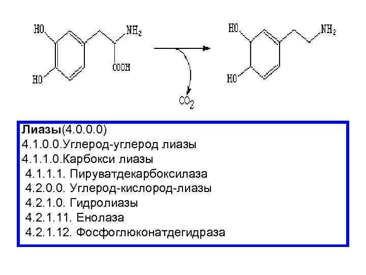 Лиазы(4. 0. 0. 0) 4. 1. 0. 0. Углерод-углерод лиазы 4. 1. 1. 0.