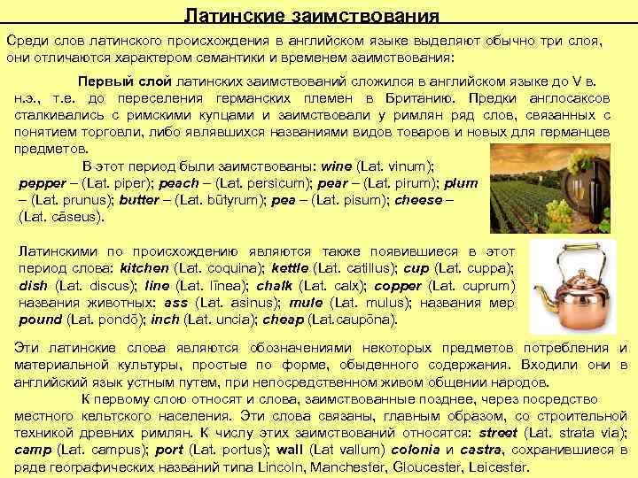 Латинские заимствования Среди слов латинского происхождения в английском языке выделяют обычно три слоя, они