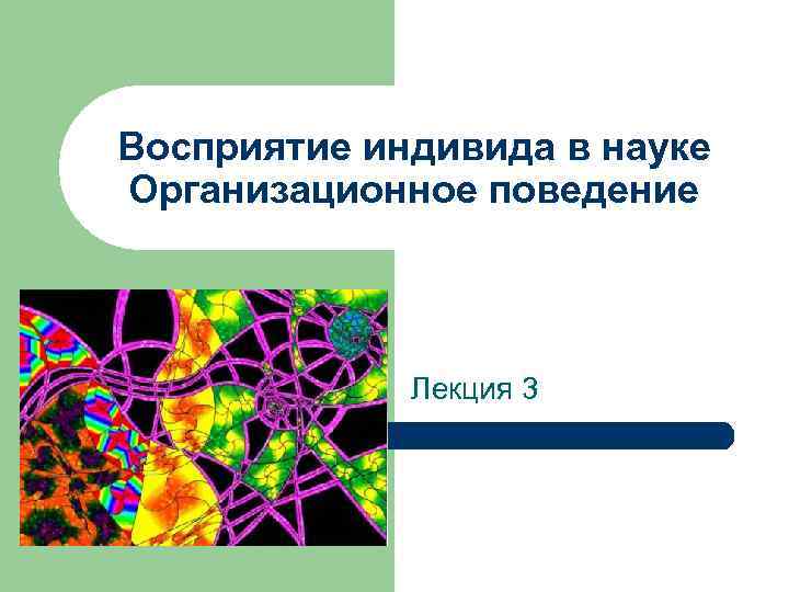 Восприятие индивида в науке Организационное поведение Лекция 3 