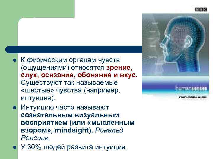 l l l К физическим органам чувств (ощущениями) относятся зрение, слух, осязание, обоняние и