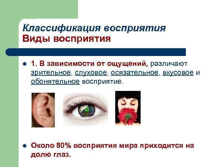 Классификация восприятия Виды восприятия l 1. В зависимости от ощущений, различают зрительное, слуховое, осязательное,