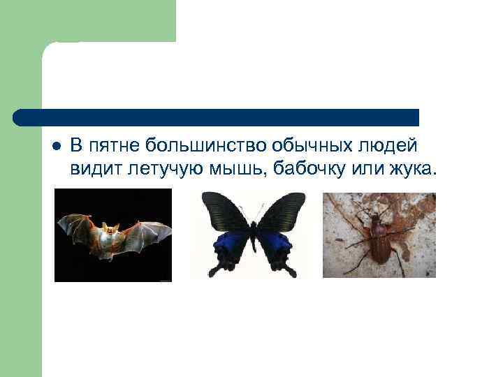 l В пятне большинство обычных людей видит летучую мышь, бабочку или жука. 