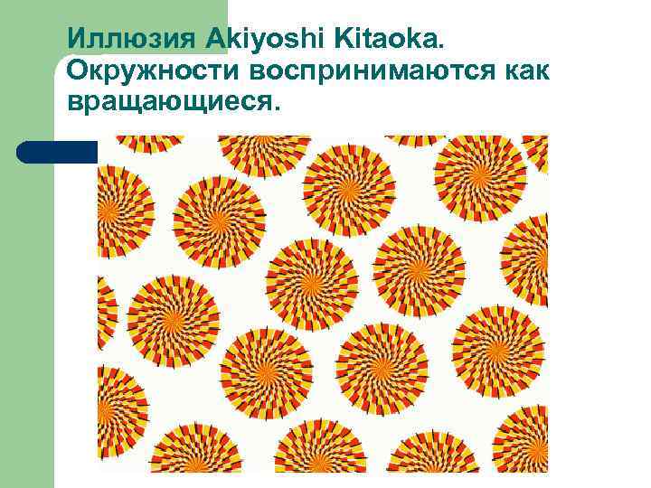 Иллюзия Akiyoshi Kitaoka. Окружности воспринимаются как вращающиеся. 
