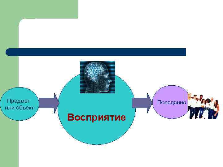 Поведение восприятие