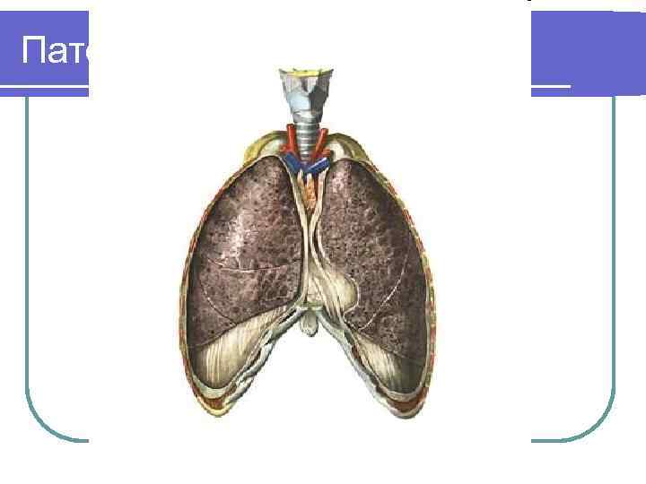 Патофизиология 