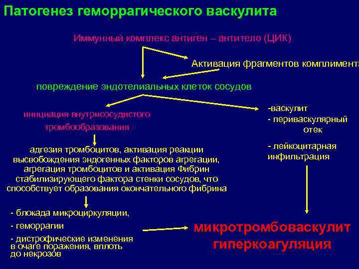 Патогенез геморрагического васкулита Иммунный комплекс антиген – антитело (ЦИК) Активация фрагментов комплимента повреждение эндотелиальных