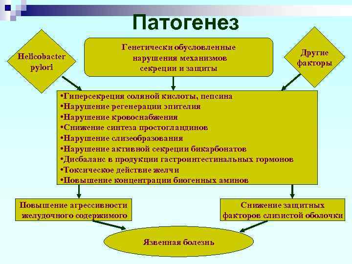 Патогенез Helicobacter pylori Генетически обусловленные нарушения механизмов секреции и защиты Другие факторы • Гиперсекреция