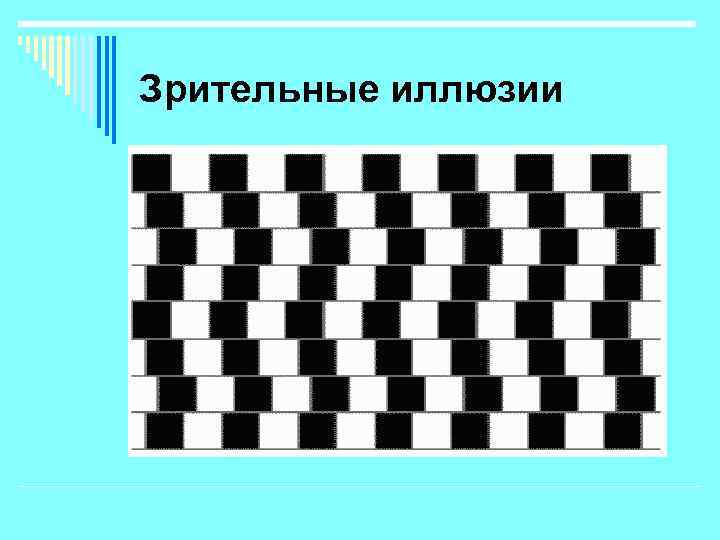 Зрительные иллюзии 