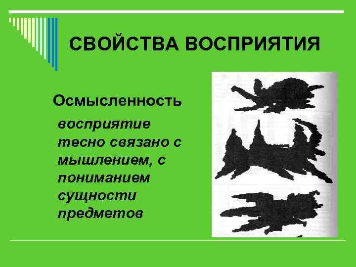 СВОЙСТВА ВОСПРИЯТИЯ Осмысленность восприятие тесно связано с мышлением, с пониманием сущности предметов 